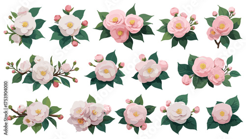 Romantic Camellia Branch Vector featuring elegant floral arrangements with soft petals, graceful stems, and timeless charm — perfect Flower Illustration Vectors for wedding, fashion, or branding.