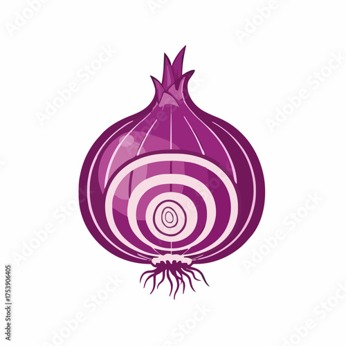Illustration of a sliced red onion on white background showing its concentric layers and root system in a bright playful cartoon style ideal for cooking blogs