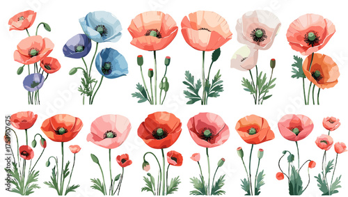 Chic Poppy Blossom Vector featuring stylish floral elegance with vibrant petals, refined outlines, and modern artistic balance — perfect Flower Illustration Vectors for fashion, branding.