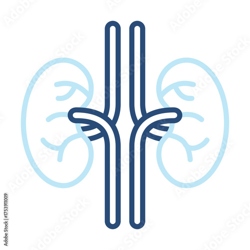 Kidney Icon Color Outline Style. Vector Illustration Design