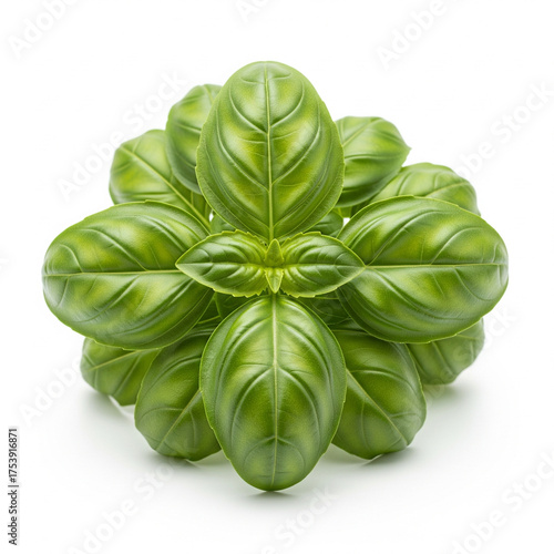 A vibrant cluster of fresh green basil leaves forming a symmetrical pattern isolated on a clean white background for culinary use isolated on white background