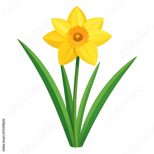 A vibrant daffodil illustration, showcasing its iconic yellow petals, trumpet, and green leaves on white
