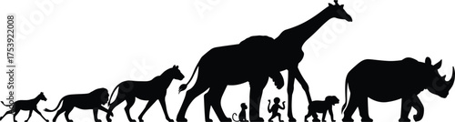 Animal and human silhouettes, size comparison, black and white lineup, species diversity, evolution theme, wildlife illustration, nature contrast, pet and wild, educational concept, art