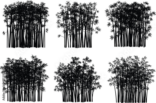 Bamboo plant silhouettes, black and white illustration, botanical cluster design, nature inspired concept, minimal style, artistic foliage layout, vertical stalk structure, landscape element