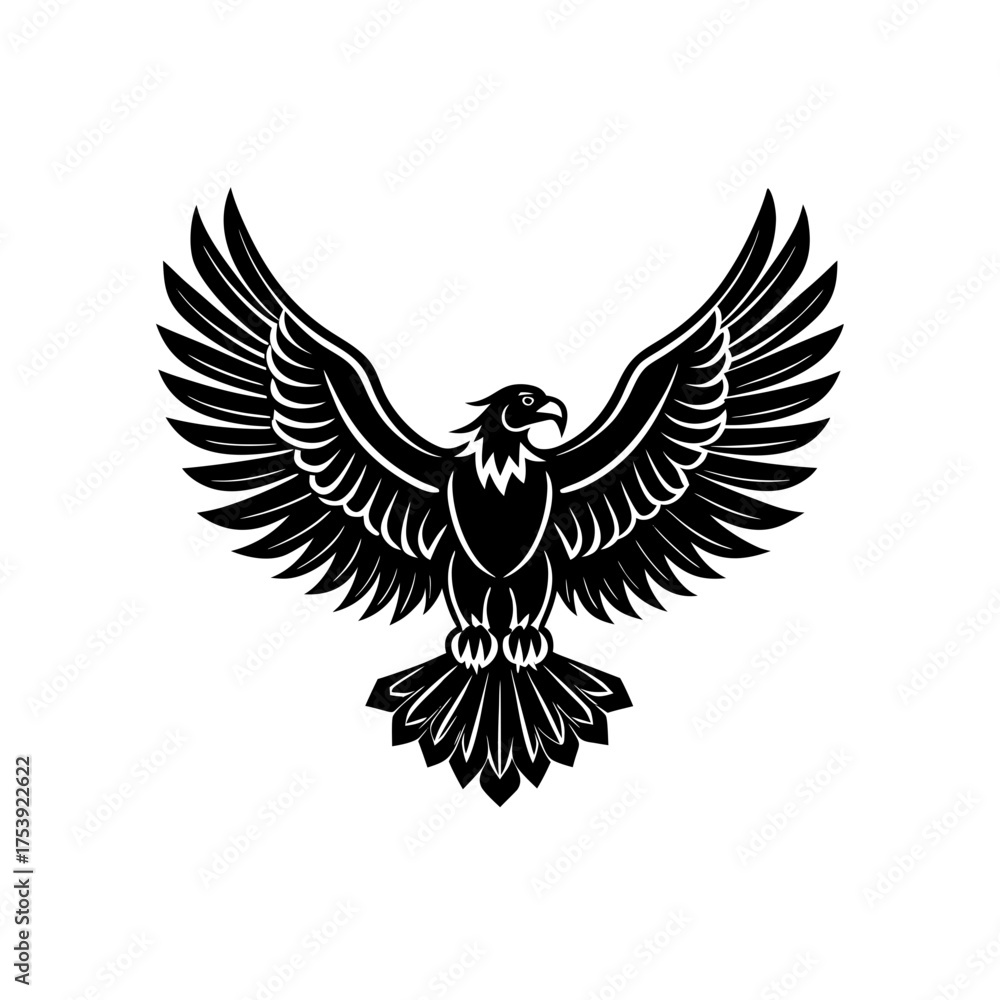 Obraz premium eagle with wings