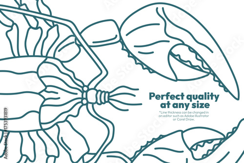 Detailed crab and lobster illustration showcasing line work for vector design projects