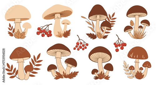 A collection of various autumnal mushroom illustrations with small leaves and berries.
