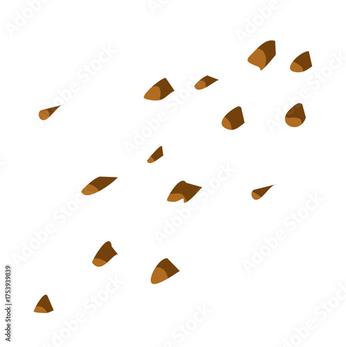 Chocolate cookie crumb