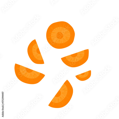 Sliced carrots vector
