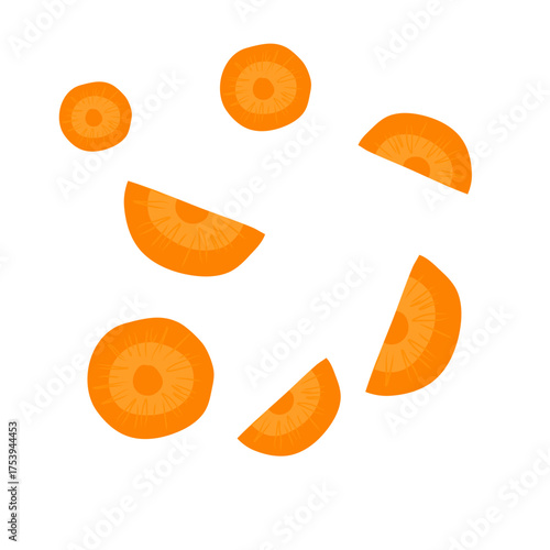 Sliced carrots vector