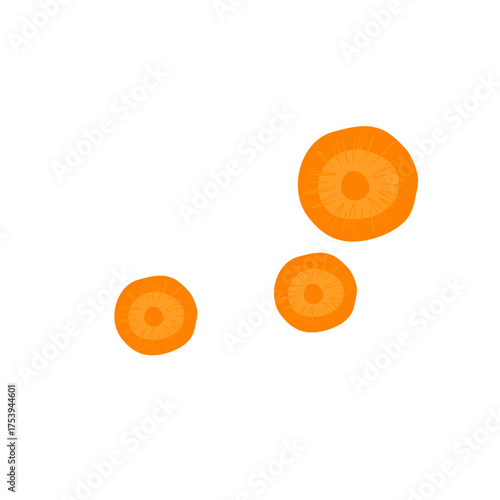 Sliced carrots vector