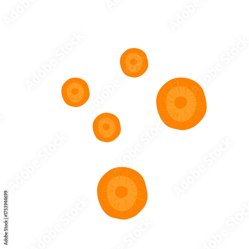 Sliced carrots vector