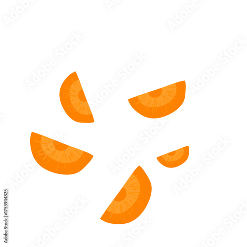 Sliced carrots vector