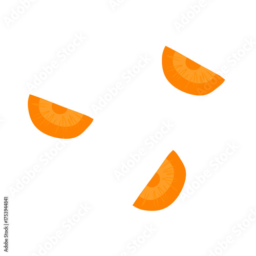 Sliced carrots vector