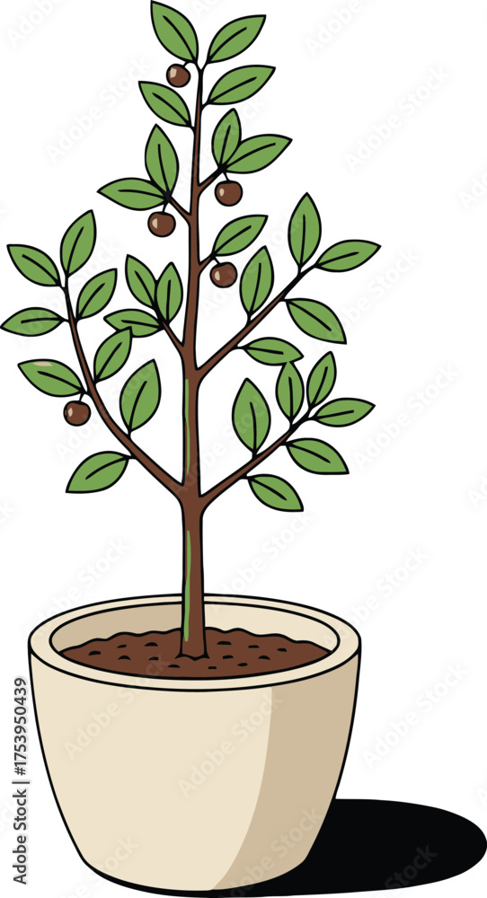 Fototapeta premium Cartoon illustration of a small fruit tree with brown berries in a cream colored pot on a white background