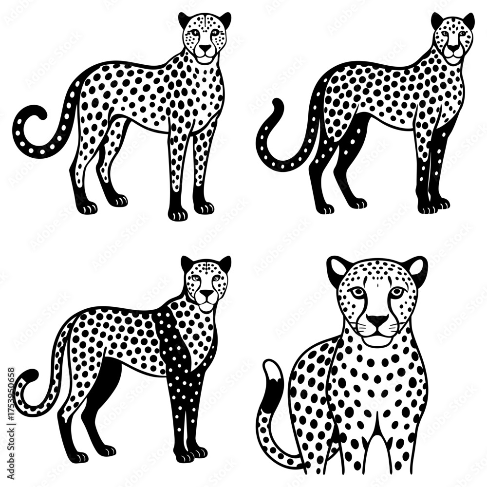 Obraz premium Four monochrome cheetahs in various poses with spotted coats and tails on a white background illustration