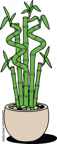 Twisted Green Bamboo Stalks with Leaves in a Light Beige Pot with Pebbles lucky bamboo plant