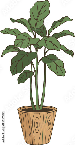 Cartoon illustration of a fiddle leaf fig plant in a wooden pot on a white background ficus lyrata houseplant