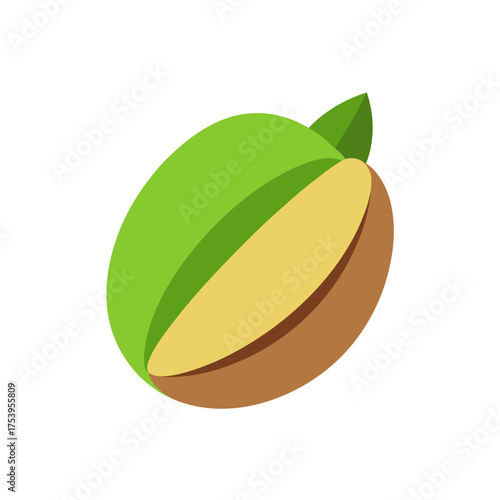 Illustration of a single pistachio nut on transparent background