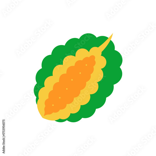 Illustration of a bitter melon vegetable on transparent background