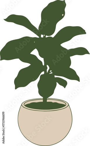 Dark Green Silhouette of Fiddle Leaf Fig Plant in Beige Pot Isolated on White Background Keywords: fiddle leaf fig, plant, potted plant, silhouette, dark green, beige pot, illustration, vector