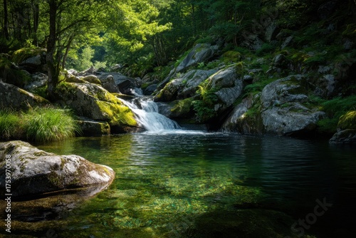 Waterfall flowing into clear river in a lush green forest