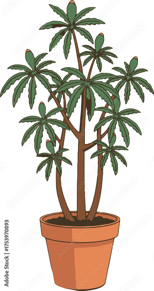 Fototapeta premium Potted plant with multiple branches and palm-like green leaves in an orange pot on a white background