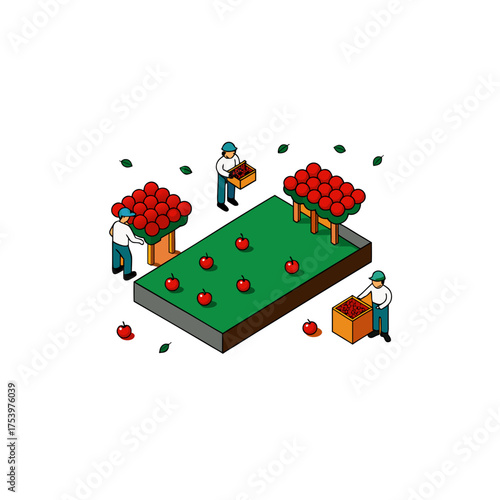 People harvesting apples in an orchard view on transparent background