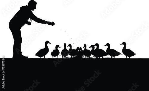 Silhouette of a person feeding a flock of ducks, capturing human interaction with wildlife in a minimalist black and white vector style