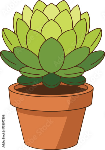 Green succulent plant in a terracotta pot with a white background potted