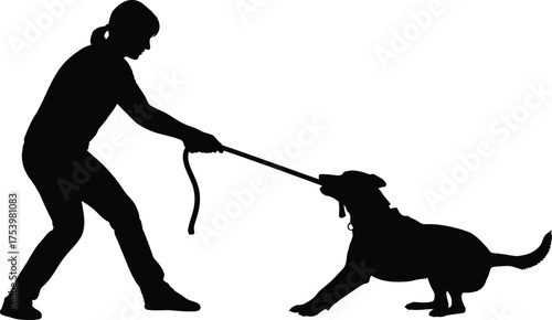 Silhouette of a person struggling to control a dog pulling on a leash, depicting challenging pet training and strong animal behavior