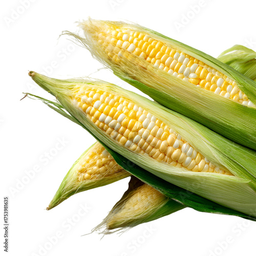 sweet corn
