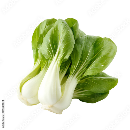 bok choy