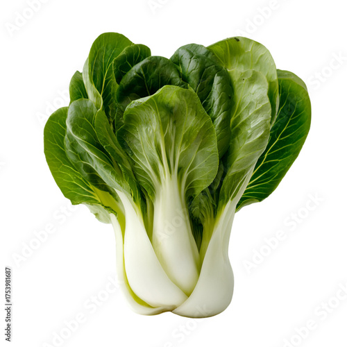bok choy