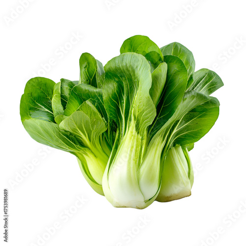 bok choy