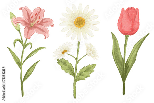 oil pastels style flowers vector