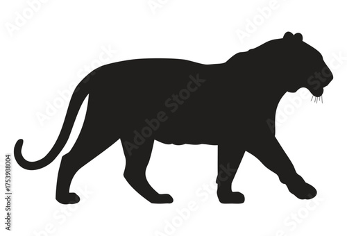 A powerful wild cat illustration, walking or prowling, depicting a tiger, lioness, or jaguar in full profile