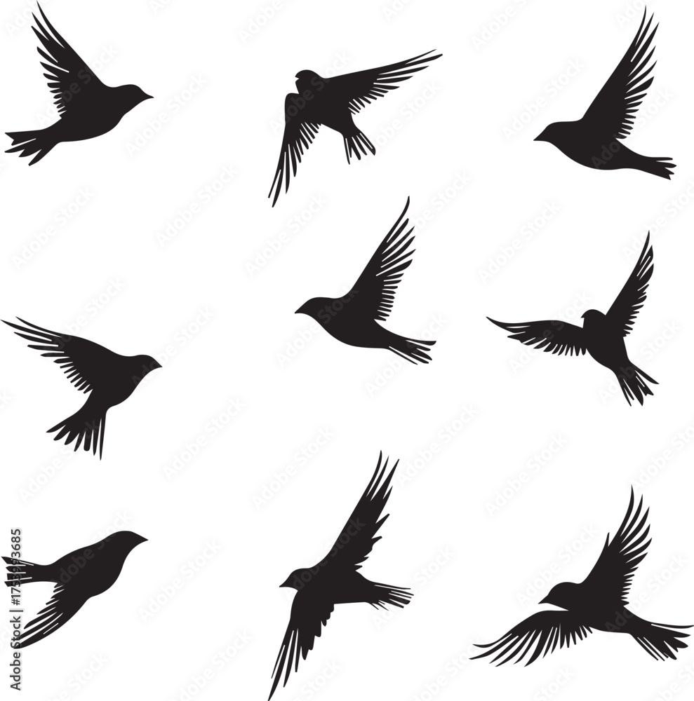 Fototapeta premium set of silhouettes of birds