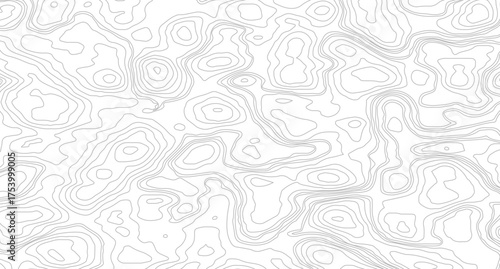 Topographic contour map. similarcartography illustration Business concept. Fish Fillet Texture, Salmon fillet texture, fish pattern. paper texture
