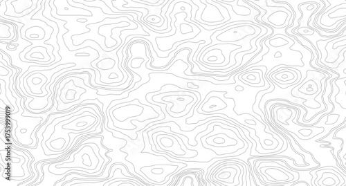 Topographic contour map. similarcartography illustration Business concept. Fish Fillet Texture, Salmon fillet texture, fish pattern. paper texture
