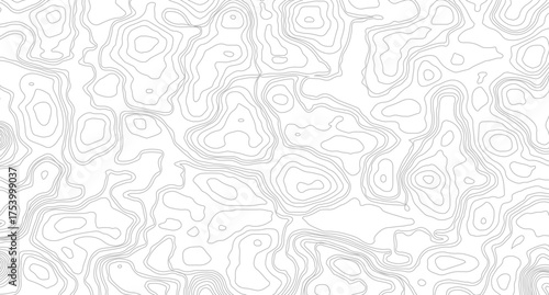 Topographic contour map. similarcartography illustration. Topography and geography map grid abstract backdrop.  