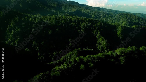 Aerial morning view of mountain with forest hills in Ngadas, Poncokusumo, Malang, East Java, Indonesia