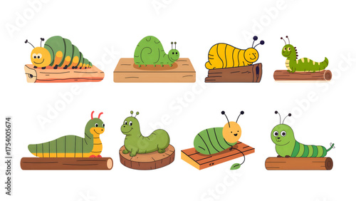 set of funny animals