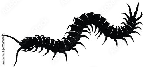 Black Centipede Vector Silhouette crawling on a white background creepy segmented bug icon design element