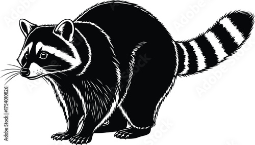 Black and white stylized raccoon vector illustration in a dynamic pose wildlife graphic art design