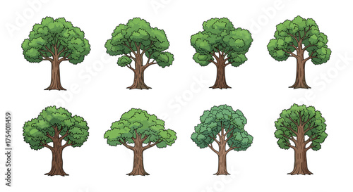 A collection of eight distinct deciduous trees with lush green foliage and sturdy brown trunks.