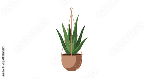 A green aloe vera plant hangs in a terracotta pot suspended by a macrame hanger.