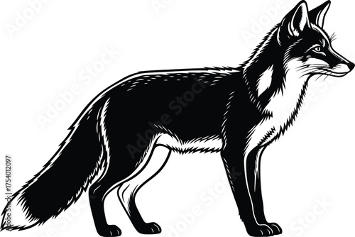 Black and White Fox Vector Illustration Stylized Animal Graphic