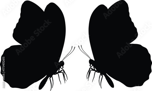 Two black butterfly silhouettes facing each other simple vector graphic isolated on a white background