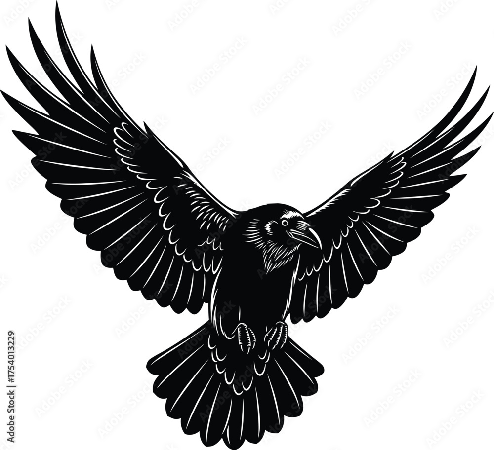 Fototapeta premium Black Raven Flying with Open Wings Vector Graphic Illustration